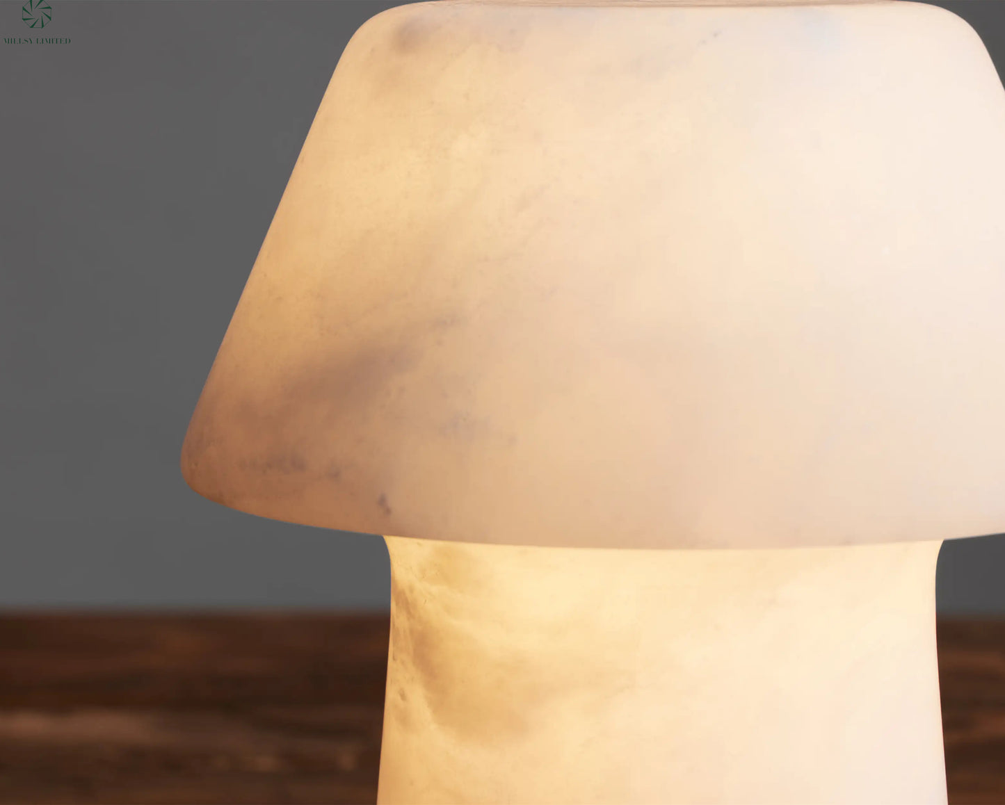 Meska Outdoor Rechargeable Desk Lamp